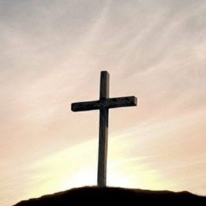 Meet your Posher, Wanda